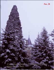 Our estate blanketed by snow