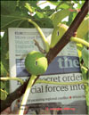 The fig tree  Ficus carica L.