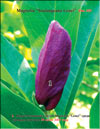 Magnolia Lenei