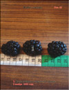 Blackberry (Rubus caesius)