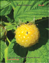   (Rubus ellipticus)