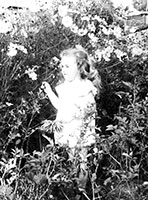 �������� �������