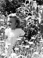 �������� �������