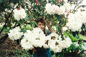 �������� ��������